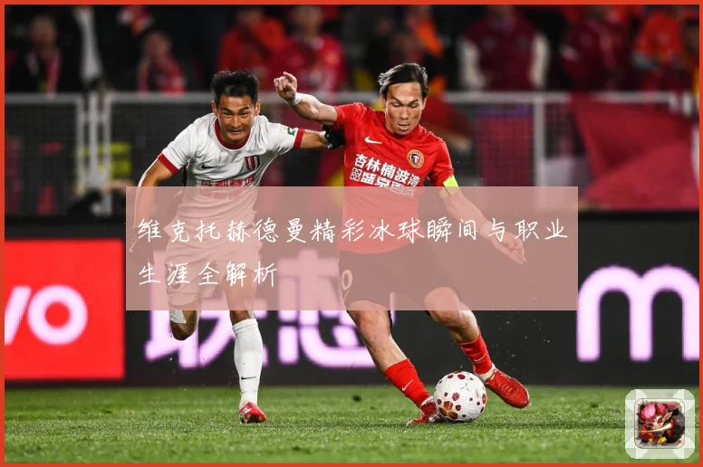 维克托赫德曼精彩冰球瞬间与职业生涯全解析