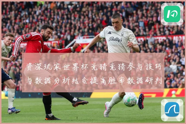 资深玩家世界杯竞猜竞猜参与技巧与数据分析结合提高胜率数据研判