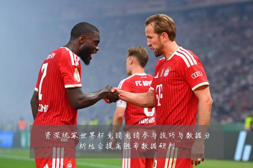 资深玩家世界杯竞猜竞猜参与技巧与数据分析结合提高胜率数据研判
