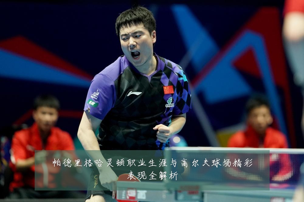 帕德里格哈灵顿职业生涯与高尔夫球场精彩表现全解析